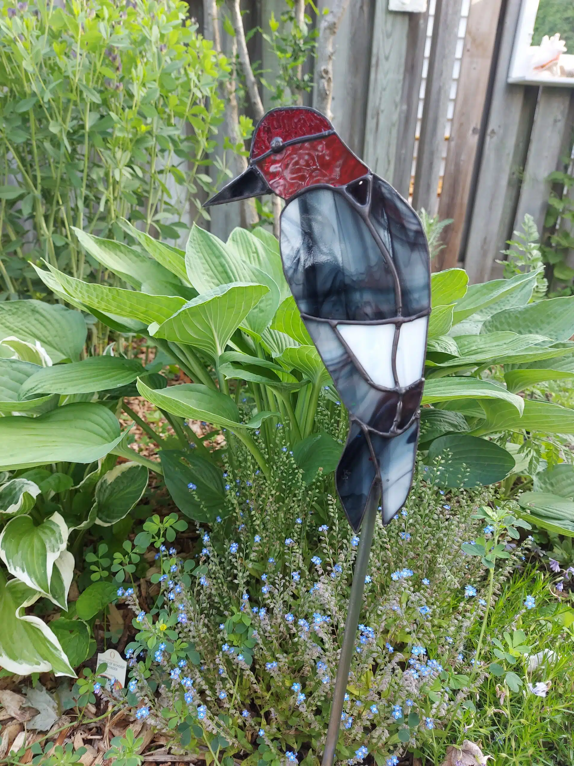Woodpecker on Garden Stake