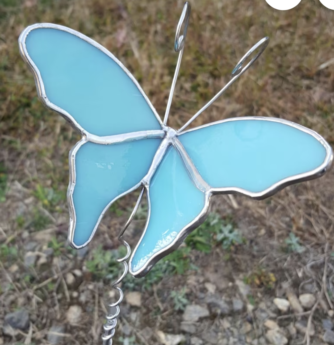 butterfly on coil stake 3 Butterfly
